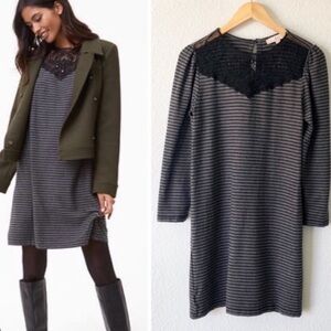 Ann Taylor LOFT black and gray striped swing dress with lace front